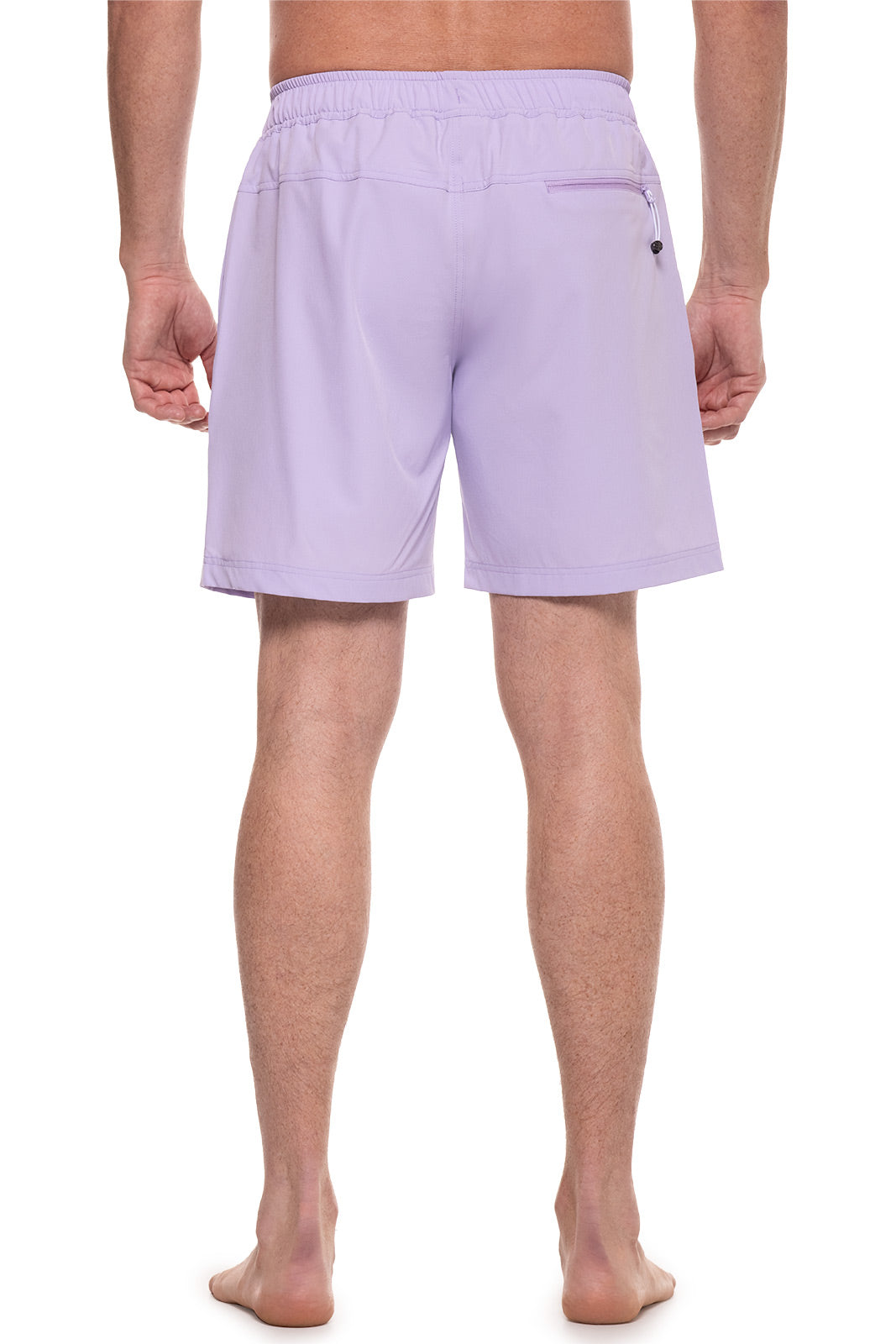 Color_Lavendula