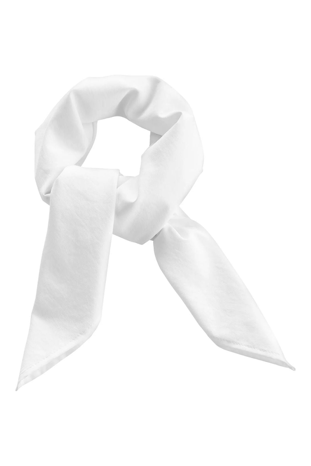 Color_White