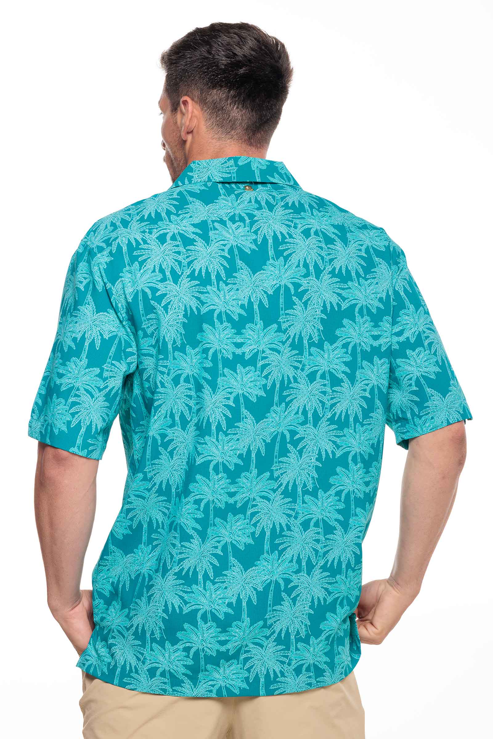 Color_Tahitian Teal Swaying Palms